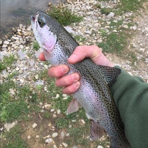 Meet your Posher, Ben